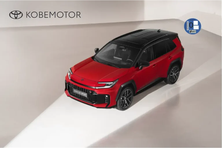 Renting RAV4 Plug-In para particulares