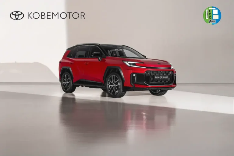 Renting RAV4 para particulares