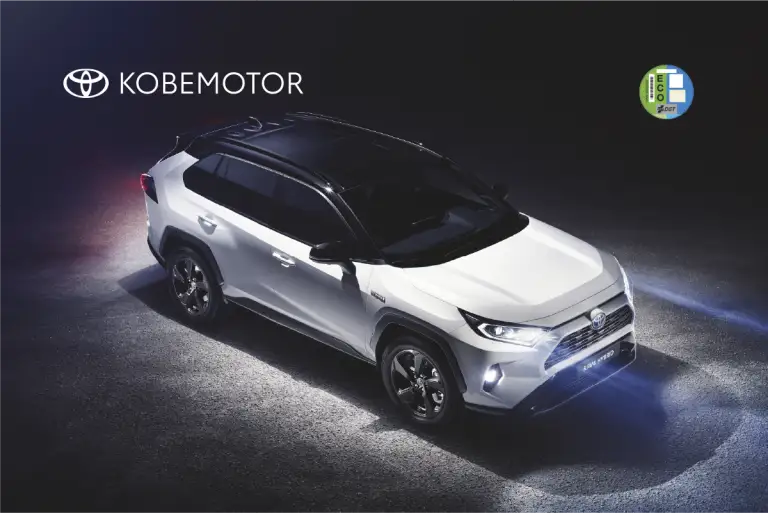 Toyota RAV4 Renting Flexible