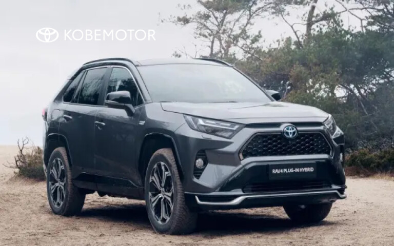 Renting RAV4 Plug-In para empresas y autónomos