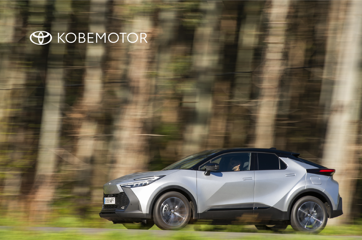 Coches de renting a 12 meses