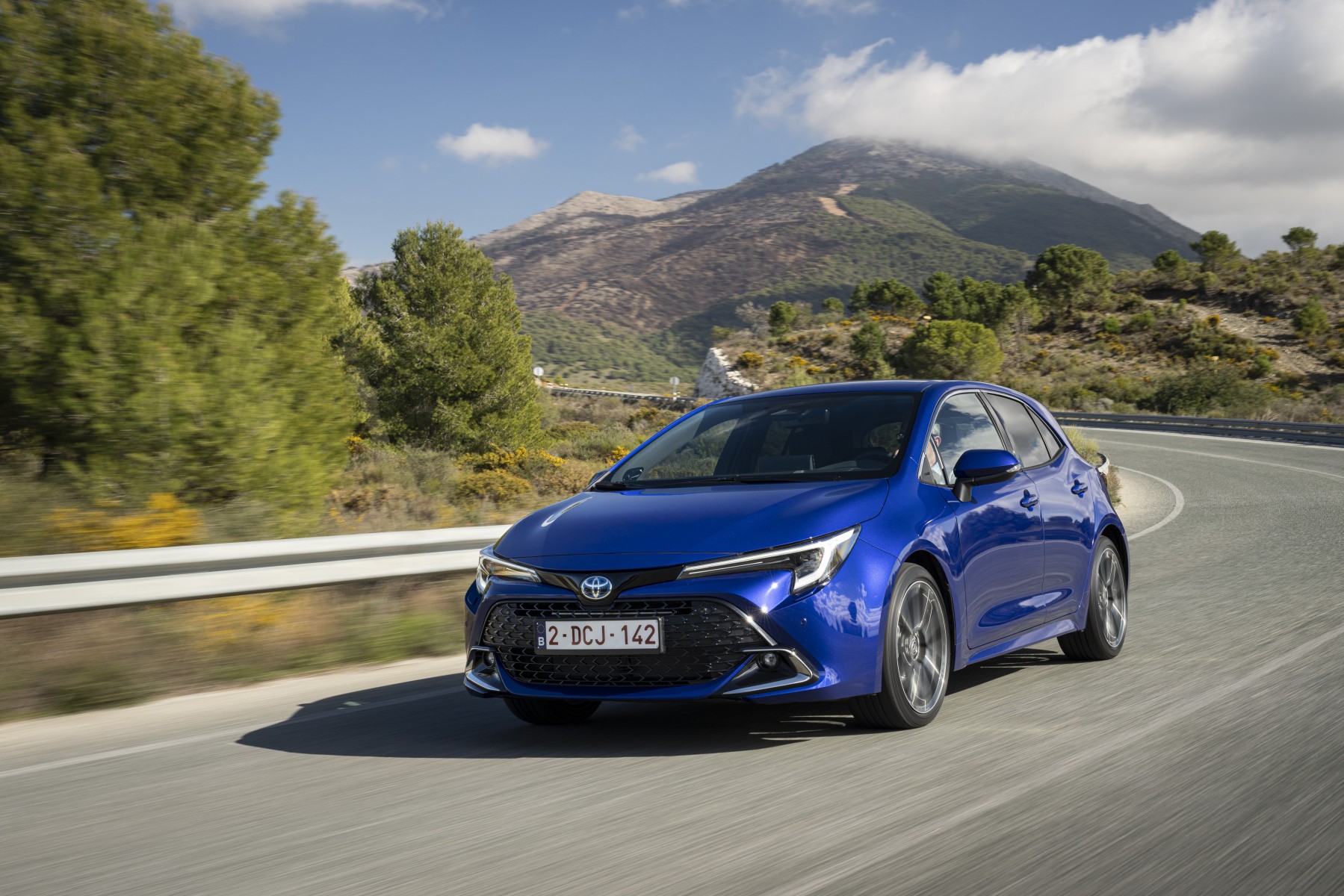 Renting Flexible Toyota Corolla