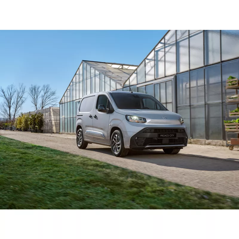 Motorización Proace City