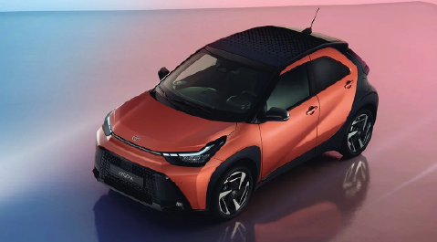 Leasing de coches a 24 meses