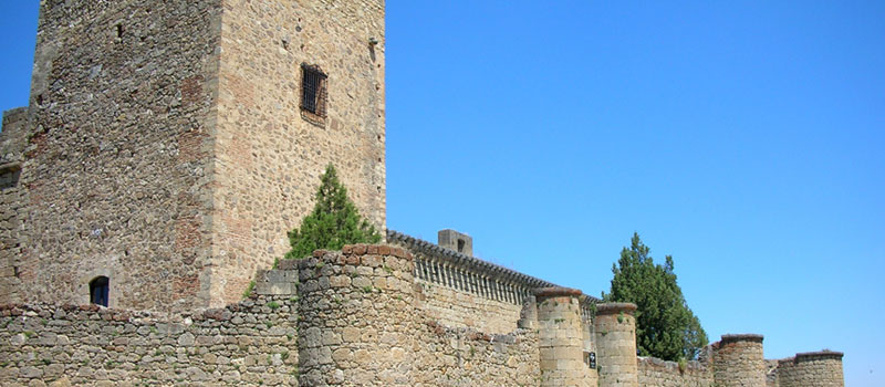 Pedraza Castillo